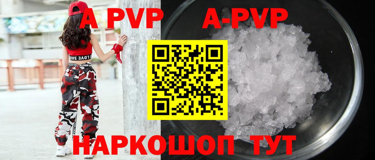 Alfa_PVP СК Маркс